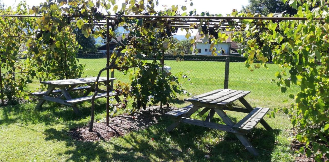 Seeidylle Winkler Bodensdorf Dış mekan fotoğraf
